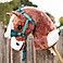 Hobby Horse Flash