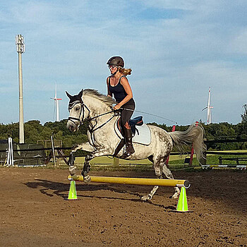 Hindernis Springreiten | Hofmeister Pferdesport